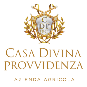 Casa Divina Provvidenza