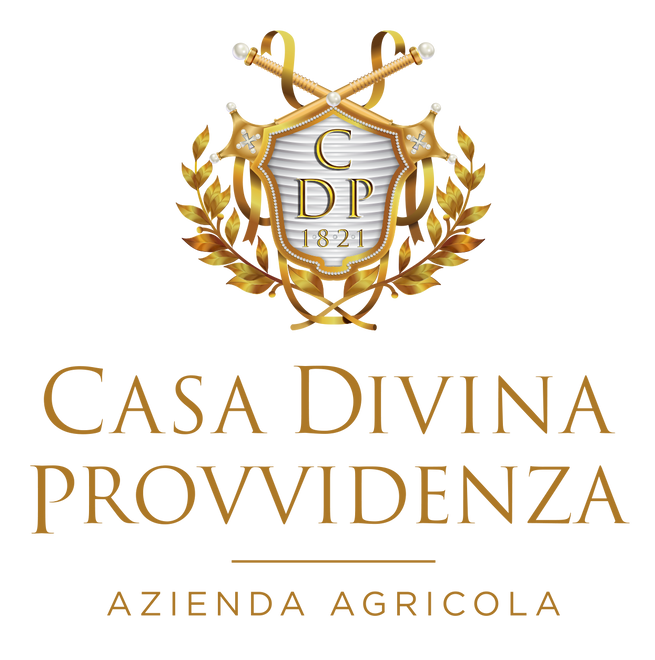 Casa Divina Provvidenza