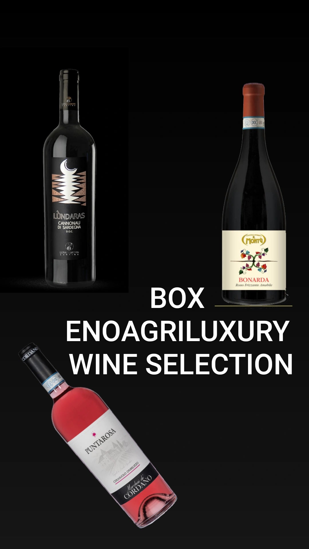 BOX ENOAGRILUXURY Wine Selection 6 bottiglie  (spedizione inclusa per l'Italia)